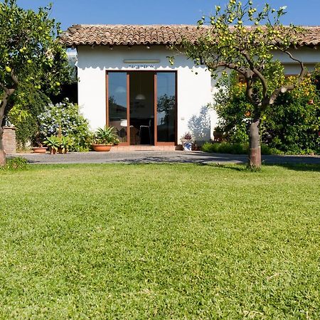 Orange Park - Agriturismo Villa มิสแตร์เบียงโก ภายนอก รูปภาพ